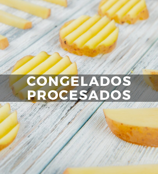 CONGELADOS - PROCESADOS