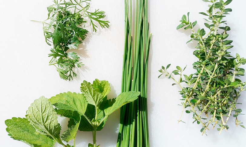 AROMATICAS. TODAS.