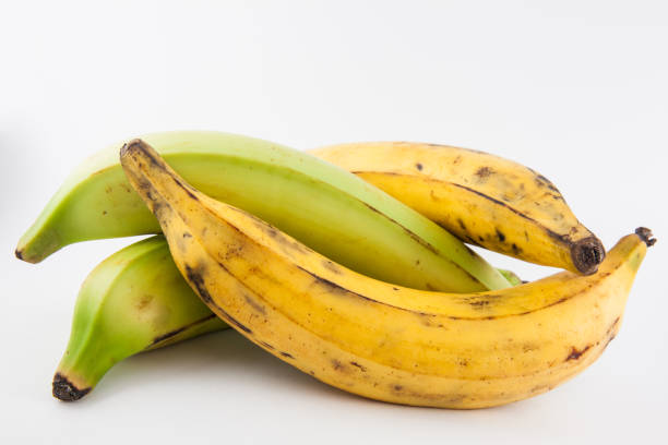PLATANO 